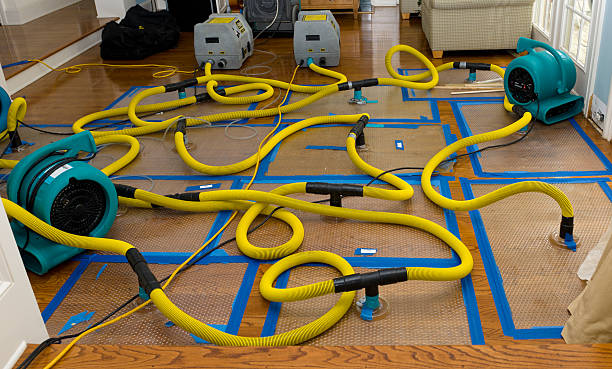 Professional Structural Drying And Dehumidification technician working in Olton, TX
